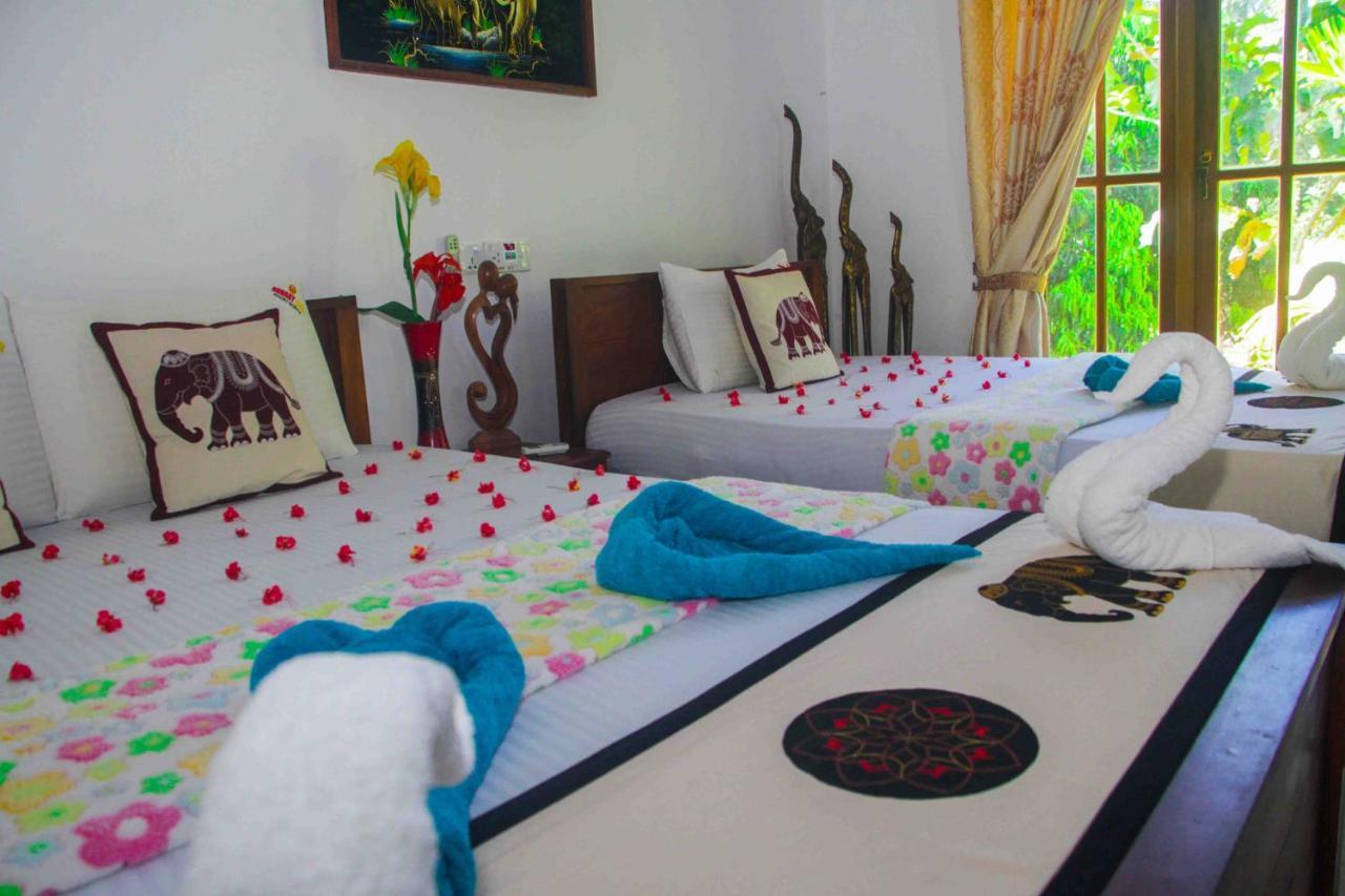 Hotel Hungry Lion Sigiriya Exteriér fotografie