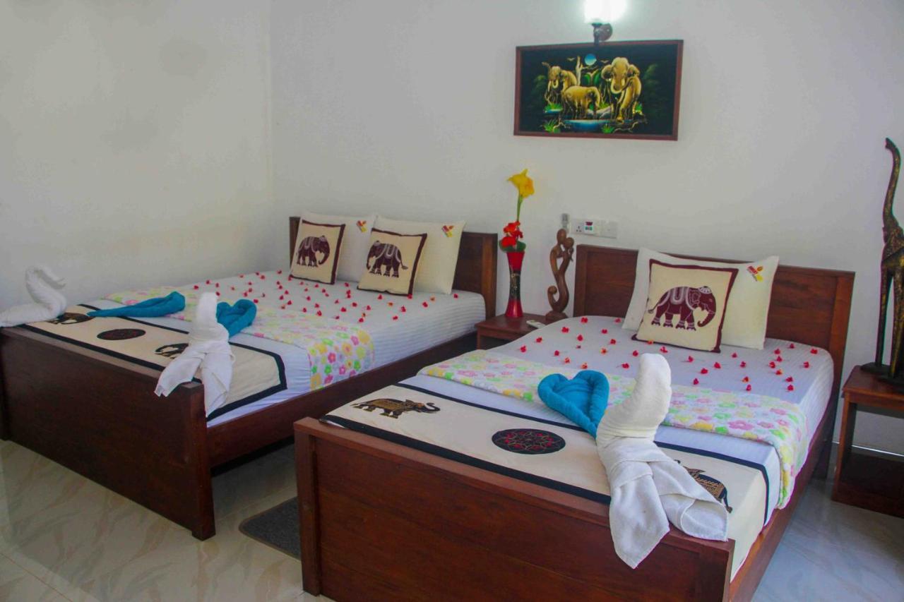 Hotel Hungry Lion Sigiriya Exteriér fotografie