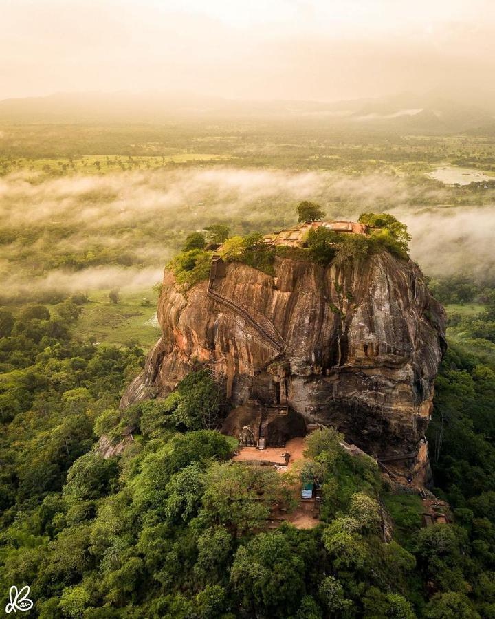 Hotel Hungry Lion Sigiriya Exteriér fotografie